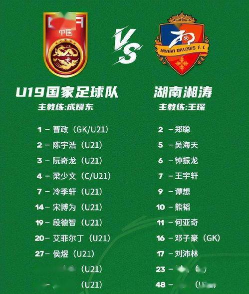 遇见91分类,探索未知领域的奇幻之旅