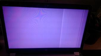 Ms91灰屏,Ms91灰屏现象解析与应对策略